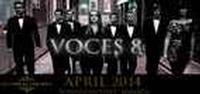 Voces 8 2014 show poster