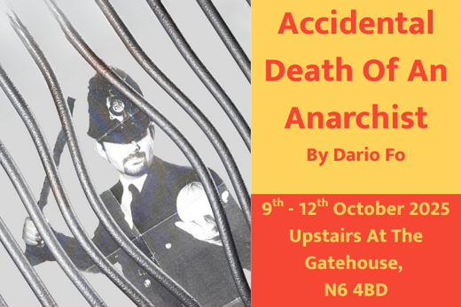 Accidental Death of an Anarchist