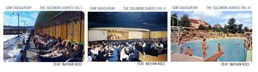 The Solomon Diaries  in Rockland / Westchester