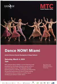 Dance Now! Miami show poster