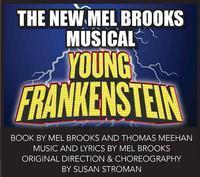 Young Franskenstein show poster