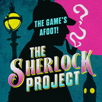 The Sherlock Project show poster