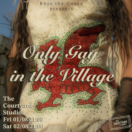 The Only Gay In The Village 