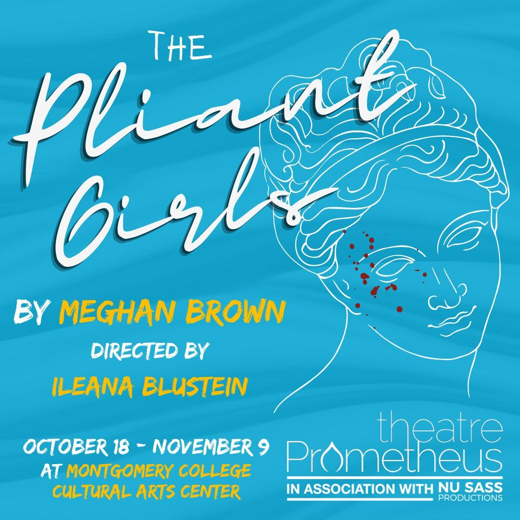 The Pliant Girls show poster