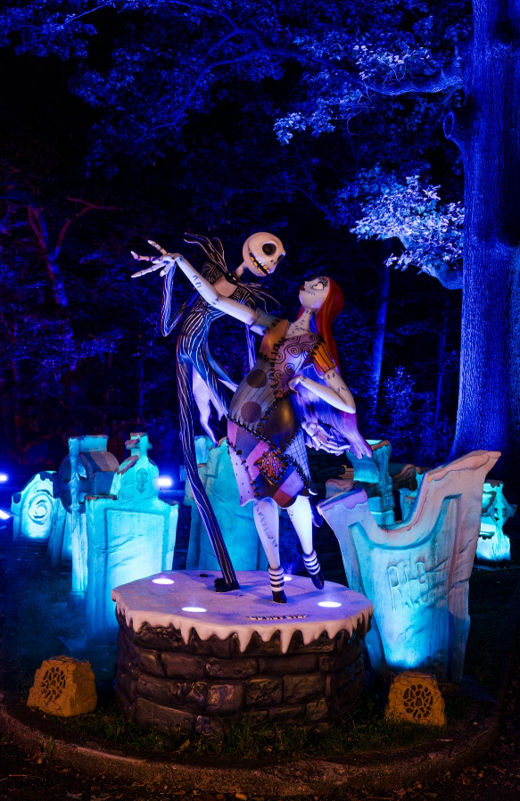 Disney Tim Burton's The Nightmare Before Christmas Light Trail