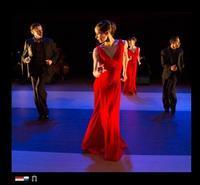 International Dans Theatre Mannen van de Tango