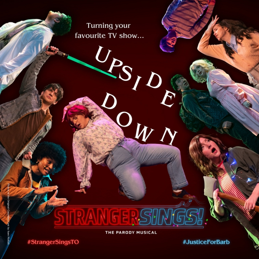 Stranger Sings! The Parody Musical show poster