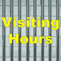 Visiting Hours show poster