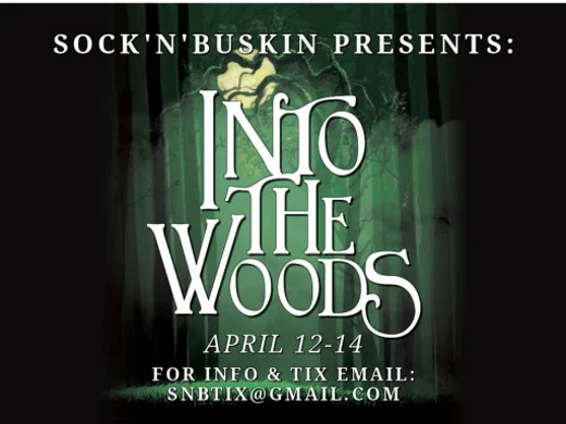INTO THE WOODS show poster