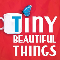 Tiny Beautiful Things show poster