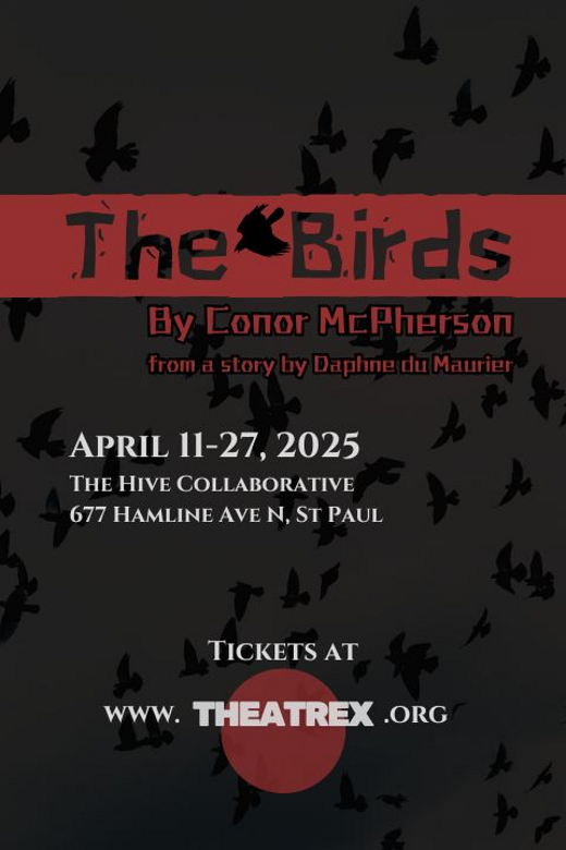 The Birds in Minneapolis / St. Paul