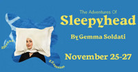 The Adventures of Sleepyhead show poster