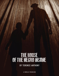The House Of The Negro Insane