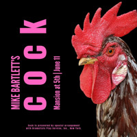 Cock in Central Pennsylvania