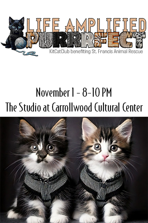Life Amplified PURRRFECT in Tampa