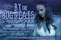 By The Bog of Cats by Marina Carr show poster