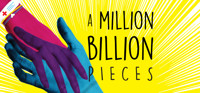 A Million Billion Pieces