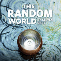 This Random World