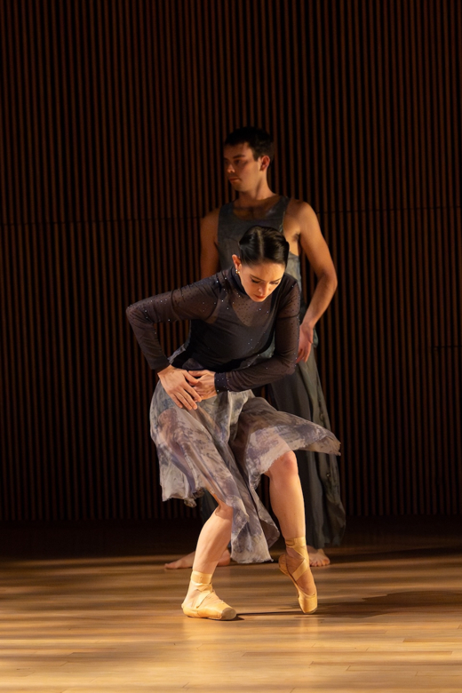 Cherylyn Lavagnino Dance 25th Anniversary Season