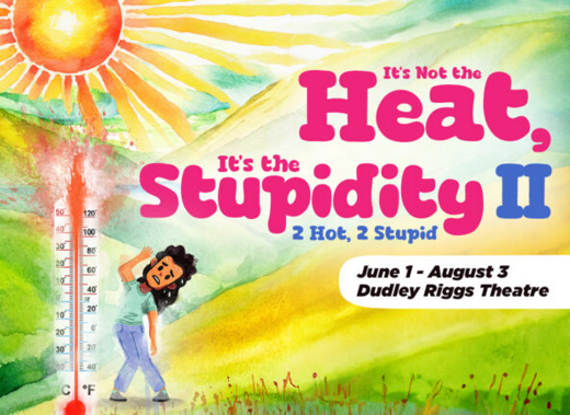 It's Not the Heat, It's the Stupidity: 2 Hot, 2 Stupid show poster