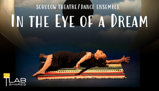 In The Eye of a Dream show poster