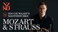 Mozart & Strauss show poster