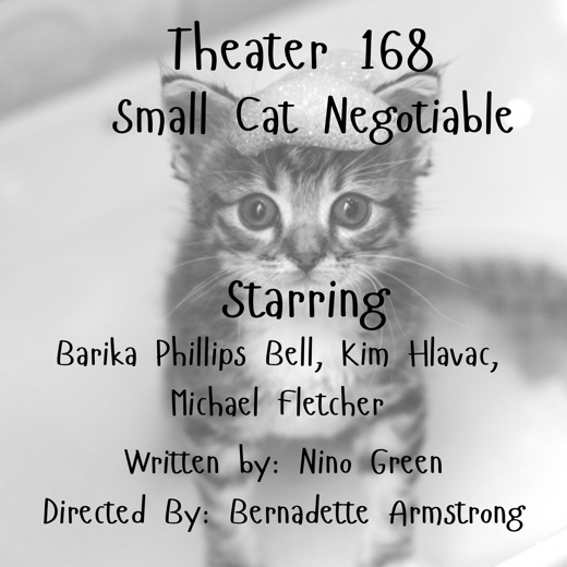 Small Cat Negotiable in Las Vegas