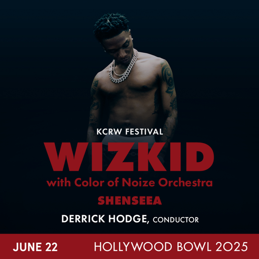 Wizkid with Color of Noize in Los Angeles