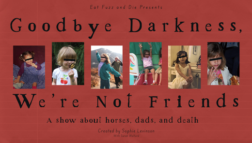 Goodbye Darkness, We're Not Friends show poster