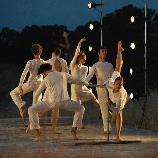 JAD Experience presents ANIMALIS