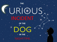 The Curious Incident of the Dog in the Night-Time in Boston