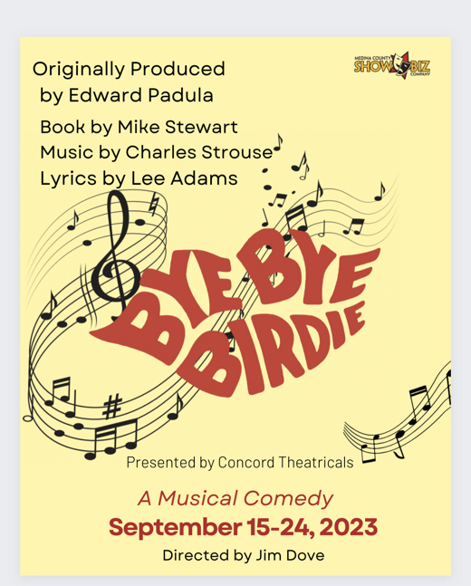 Bye Bye Birdie show poster