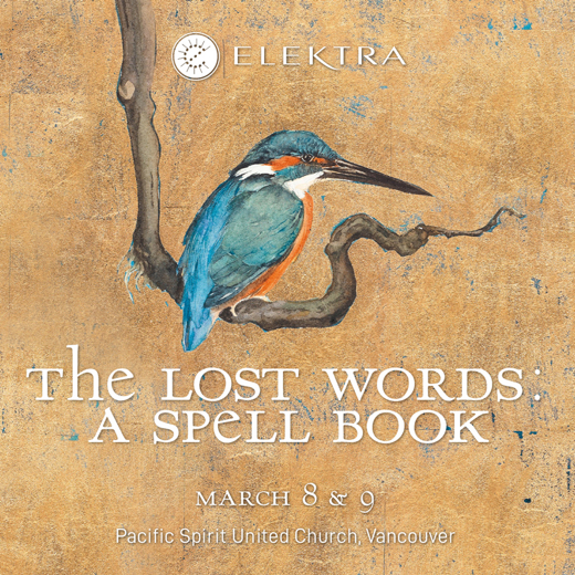 The Lost Words: A Spell Book