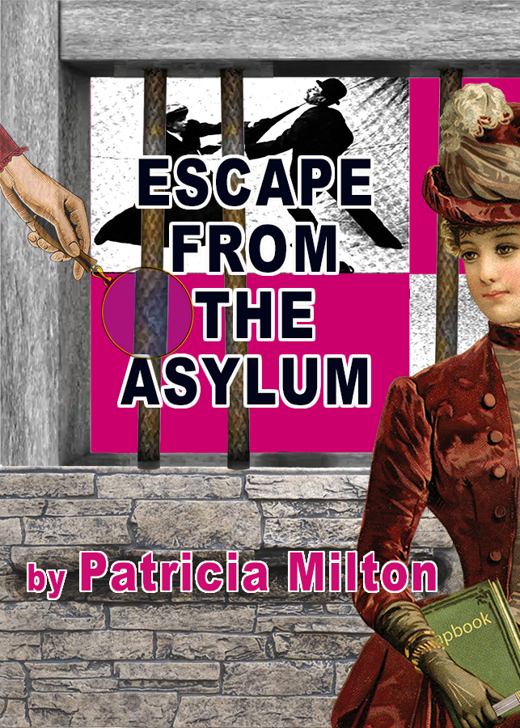 Escape from the Asylum in Washington, DC