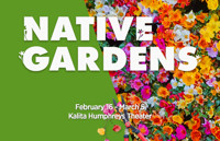 Native Gardens in Dallas