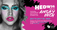 Hedwig And The Angry Inch show poster