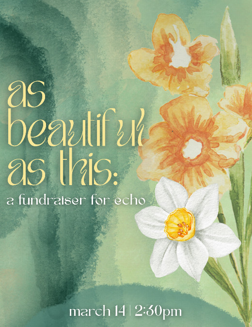 as beautiful as this: a fundraiser for echo