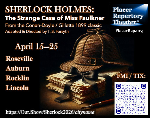 Sherlock Holmes: The Strange Case of Miss Faulkner - ROCKLIN