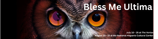 Auditions - Bless Me Ultima show poster