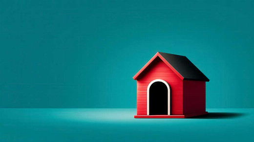 Dog Sees God: Confessions of a Teenage Blockhead