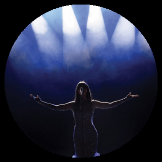 Broadway Standing Ovations show poster