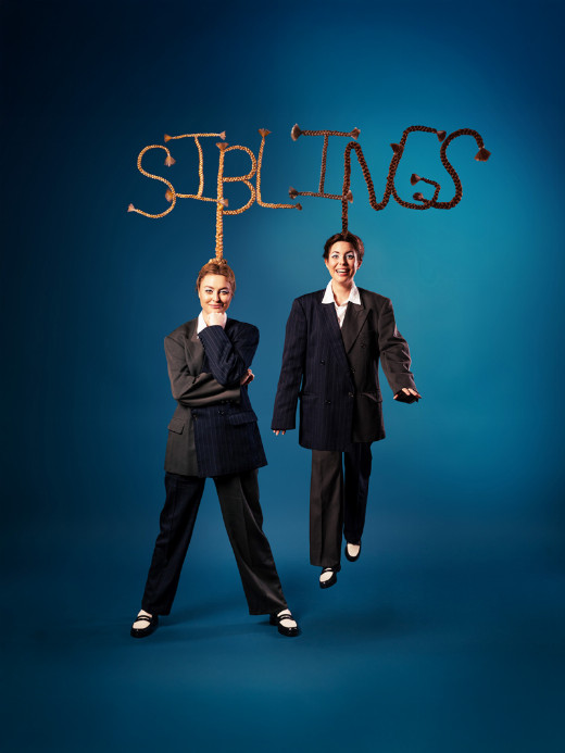 Siblings: Dreamweavers show poster