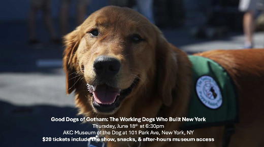 Good Dogs of Gotham: The Working Dogs Who Built New York show poster