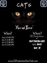 Cats show poster