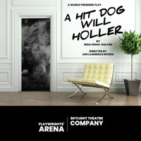 A HIT DOG WILL HOLLER show poster