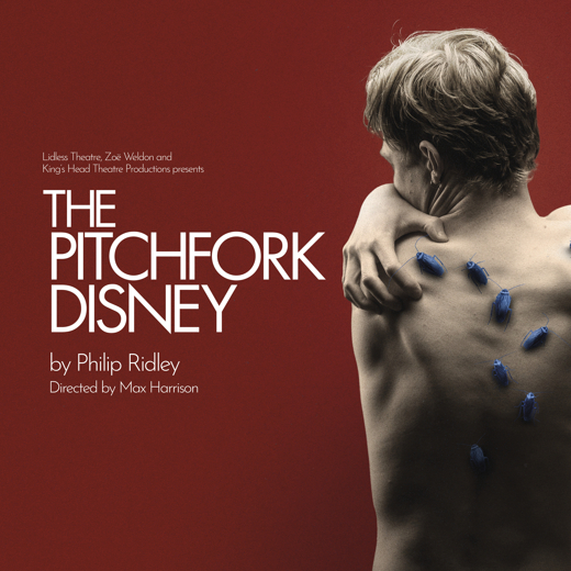 The Pitchfork Disney
