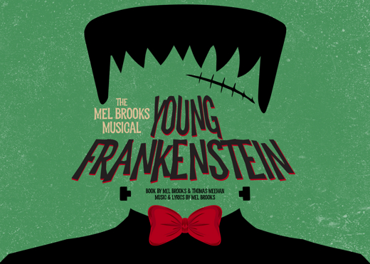 Mel Brooks' Young Frankenstein show poster