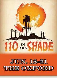 110 In The Shade show poster