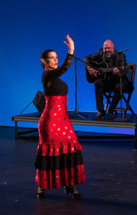 Furia Flamenca: “A Trip to Spain” show poster