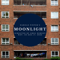 Moonlight in Raleigh